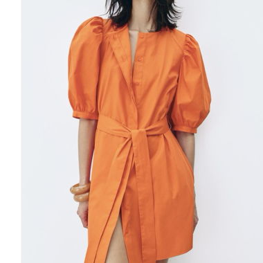 Zara dress
