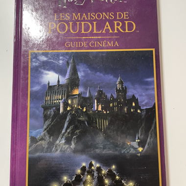 Harry Potter – Le Case di Hogwarts