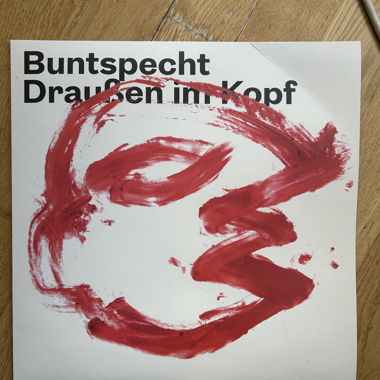 Vinyl Schallplatte - Buntspecht