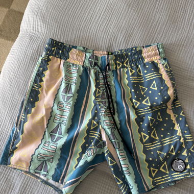 Volcom Swim Shorts