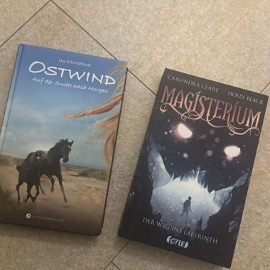 2 libri per ragazzi: Ostwind & Magisterium
