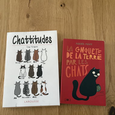 Set di 2 libri sui gatti
