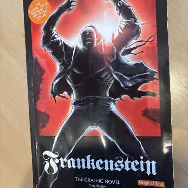Frankenstein Graphic Novel