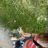 Julia_44