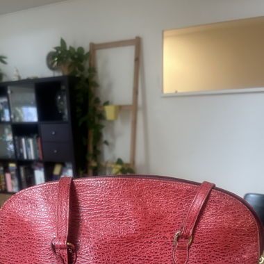 Longchamp vintage