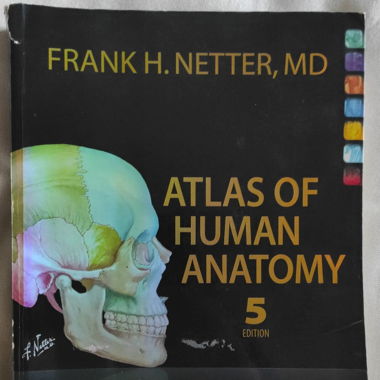 Netter Human anatomy 5th edition