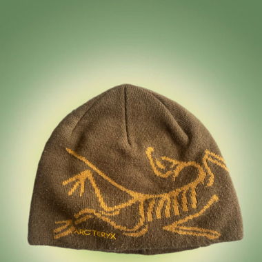 Arc‘teryx Beanie