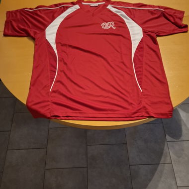 Swiss T-shirt XL