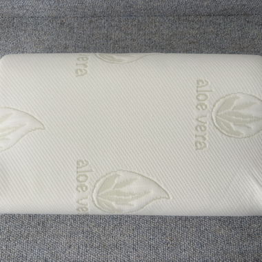 Cuscino Aloe Vera 30x50