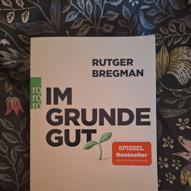 Im Grunde Gut - Rutger Bregman