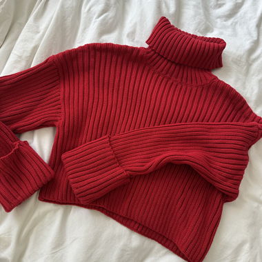 Red turtle neck 🐞