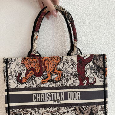Dior Shopping Bag