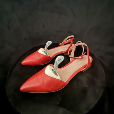 Chaussures rouges élégantes