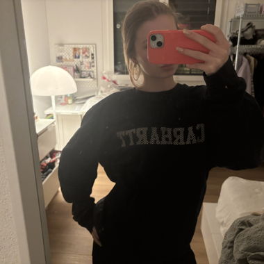 Carhartt sweater
