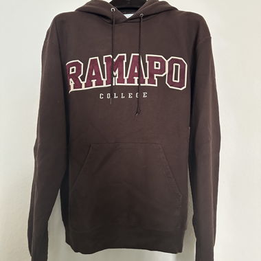 Champion College Hoodie