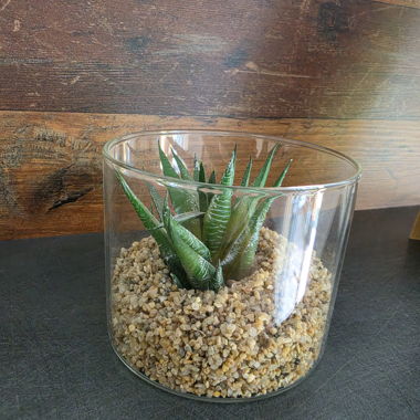 Deux terrariums en verre avec plantes artificielles