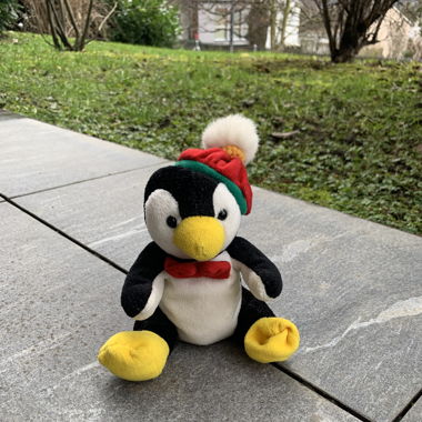 pinguin mit mütze plushie plüschtier