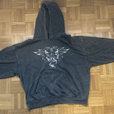 Grey Hoodie with Graphic Print