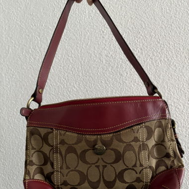 Borsa Coach FAKE