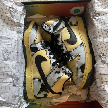 Nike Dunk HI 