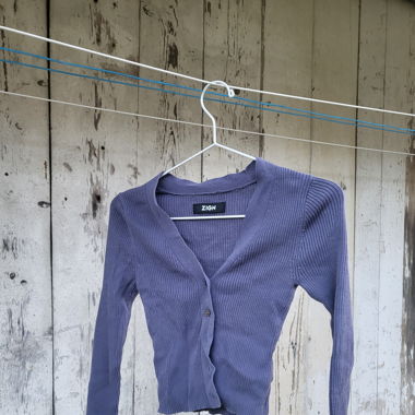 blueberry Jäcklein