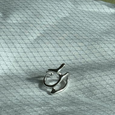 Luxury Ring