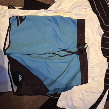 Quiksilver Surf Shorts