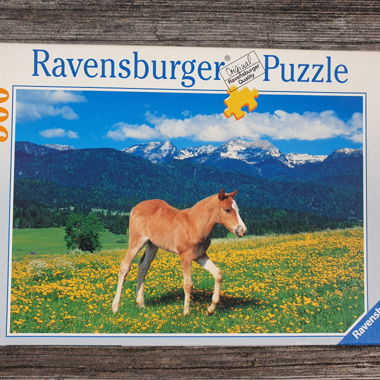 Puzzle Cavallo (Puledro) 500 pezzi Ravensburger