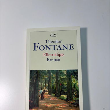 Ellernklipp - Roman von Theodor Fontane