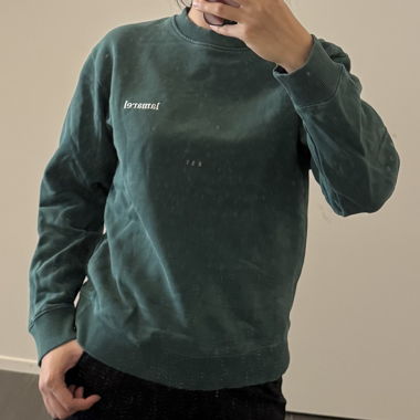 Green Lamarel Sweater