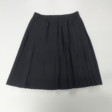 nylon black pleated skirt