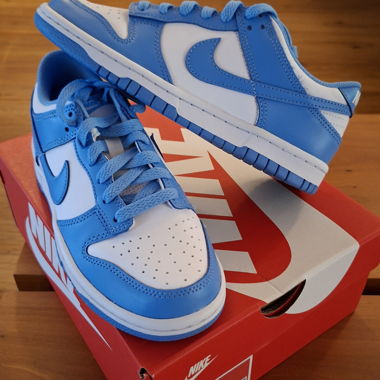 Nike Dunk Low GS