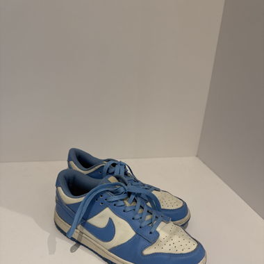 fake nike dunks