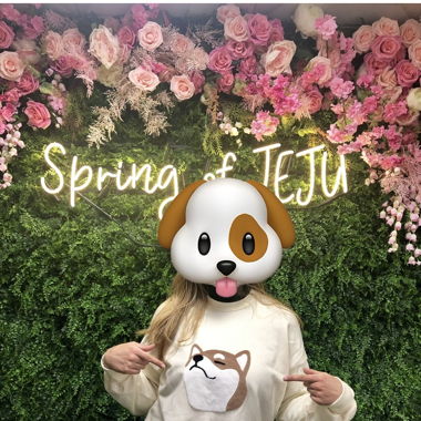 Shiba Pulli