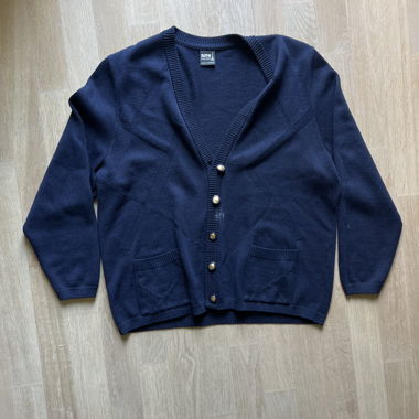 Blue Cardigan