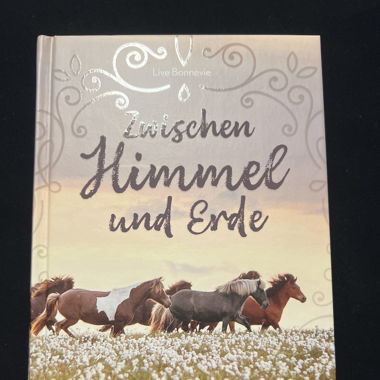 Zwischen Himmel und Erde