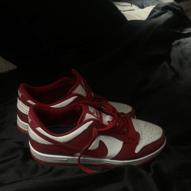 Nike dunks rot