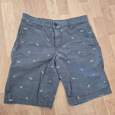 Echsen Shorts