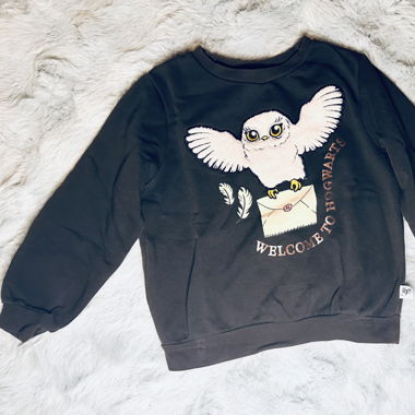 Harry Potter Pullover