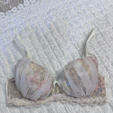 Glitter Chiffon Bra (New-70B/C)