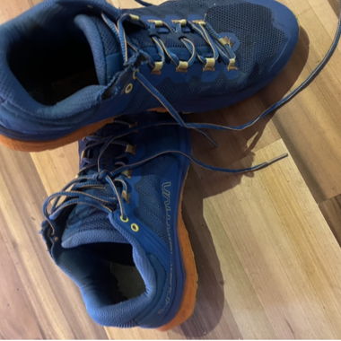 Blue Hiking Shoes