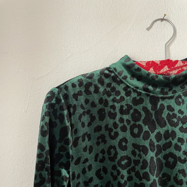 Leo Samtkleid grün