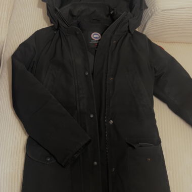 Canada goose