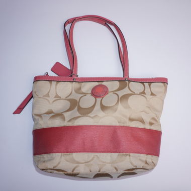 Coach Signature Tote Bag