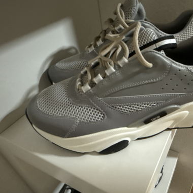 DIOR B22