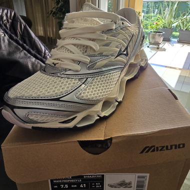 Mizuno Wave Prophecy LS