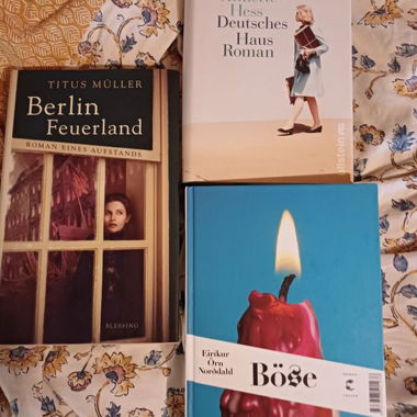 Gebundene Belletristik Historische Romane Deutsch