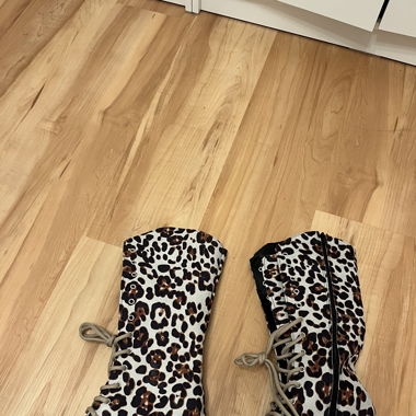 Leo Stiefel