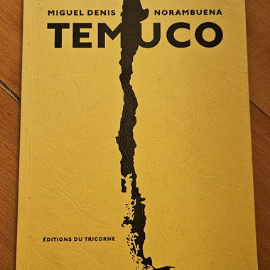 Temuco