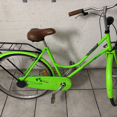 Totem Green City Bike with Luggage Rack 